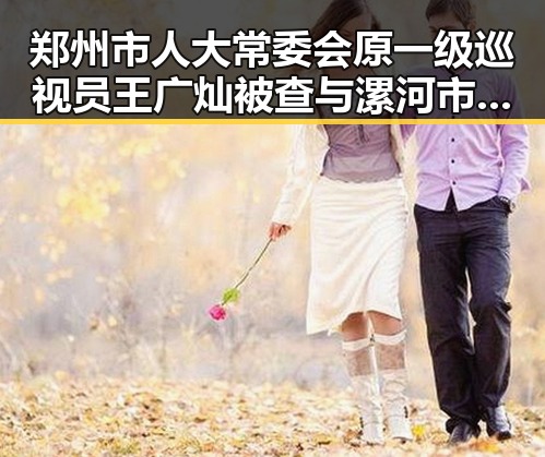 郑州市人大常委会原一级巡视员王广灿被查与漯河市通报五起“清朗”专项行动典型案例的反差揭示官员反腐新动