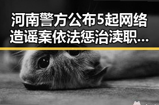 河南警方公布5起网络造谣案依法惩治渎职案例引发关注