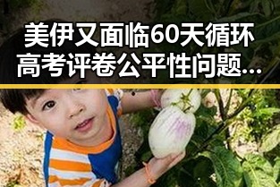 美伊又面临60天循环高考评卷公平性问题记者探访高考评卷现场