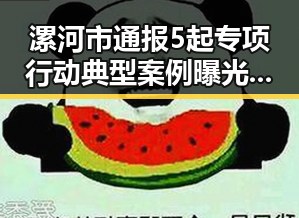 漯河市通报5起专项行动典型案例曝光假冒公安APP事件引发关注